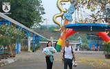 Hàng nghìn bông hoa hồng Bulgaria khoe sắc ở Công viên nước Hồ Tây